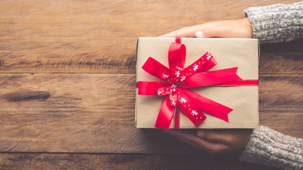 Idée Cadeaux de Noël : offrez un défroisseur vapeur !