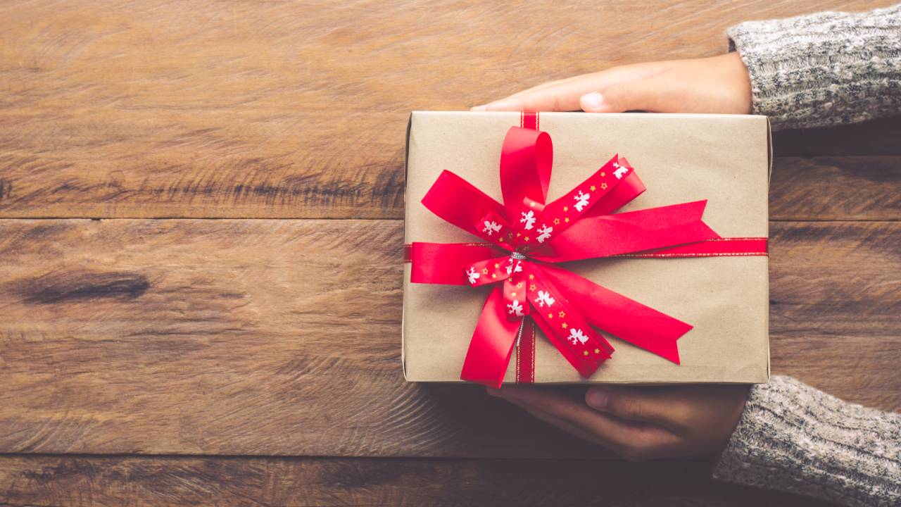 Idée Cadeaux de Noël : offrez un défroisseur vapeur !